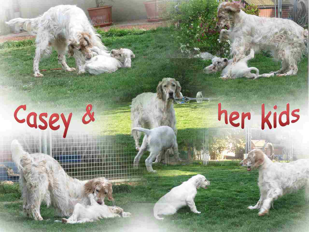 Casey & kids