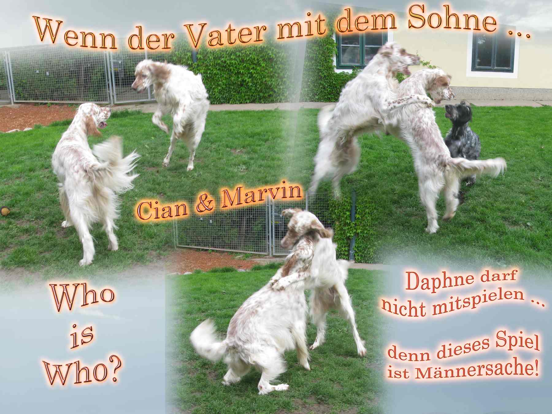 Vater und Sohn ... Cian und Marvin
