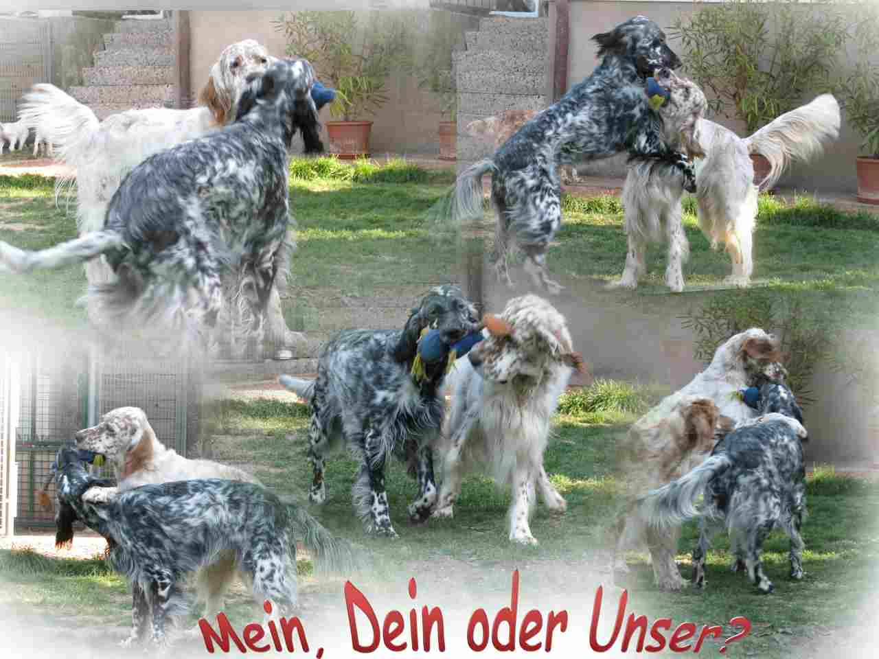 Cian & Ember