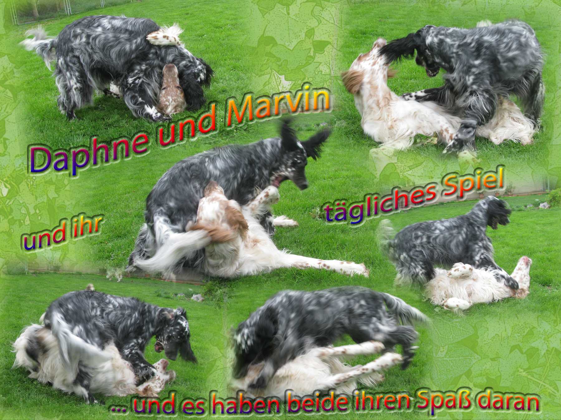 Daphne & Marvin