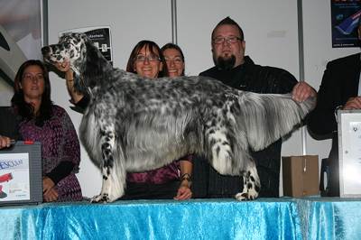 Groomer of the Year 2010