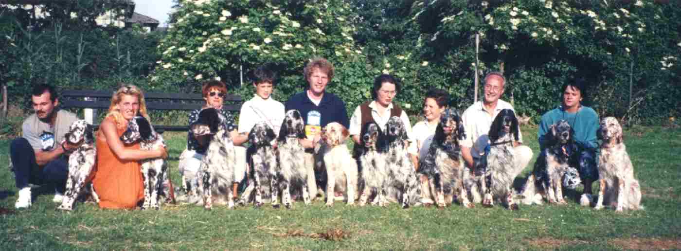 einige Hunde aus unserer Zucht