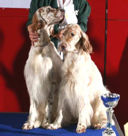 Cian & Casey