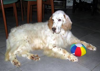 Jared mit 9 Jahren