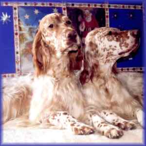 Liz & Casey