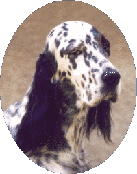 Wonda mit 6 Jahren