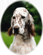 Annie mit 2 Jahren
