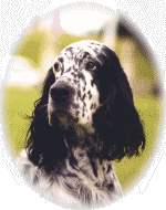 Benny