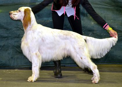 Horatio mit 15 Monaten