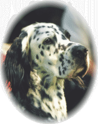 Jenny