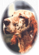 Mariner's April "Miky" mit 2 Jahren