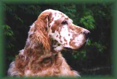 Mariner's April "Miky" mit 9 Jahren
