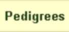 Index Pedigrees