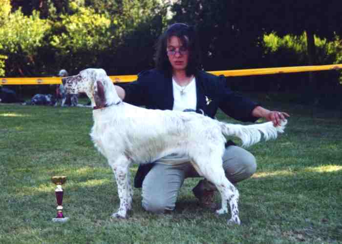 Romy - Tochter von Showman und Jenny