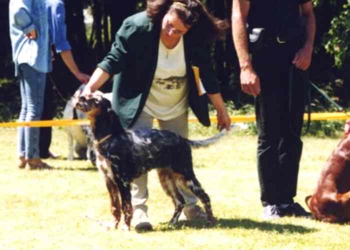 Wie ein Fels in der Brandung!