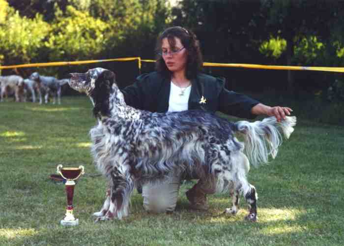 Unser Rudelchef Jana