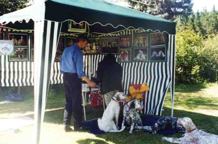 Aufbau des Guldegg-Zeltes