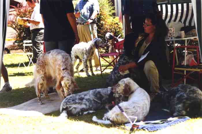 Treffpunkt f&uuml;r Jung und Alt