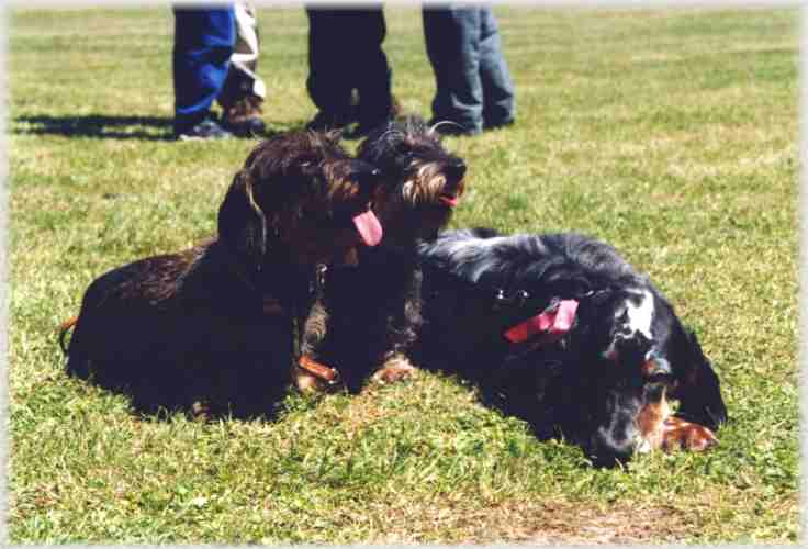 Ein interessantes Trio