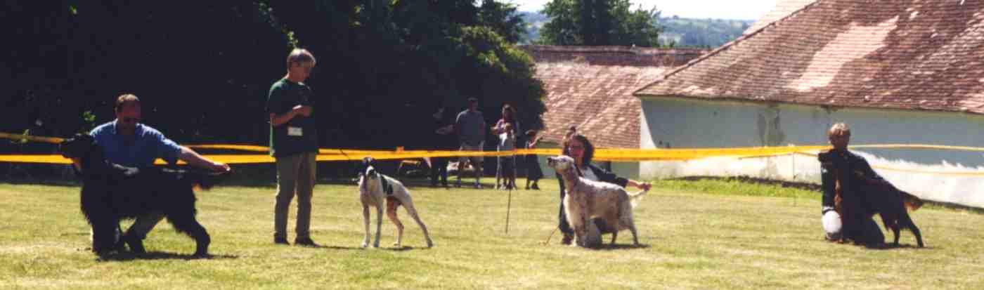 Der H&ouml;hepunkt des Tages!