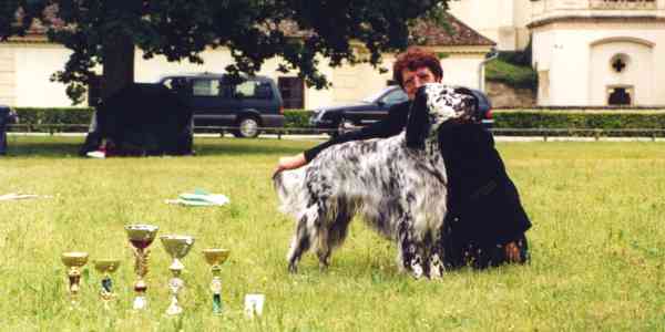 CACIB und BOB - Ch. Qu's Black-Eared Bennet von der Guldegg