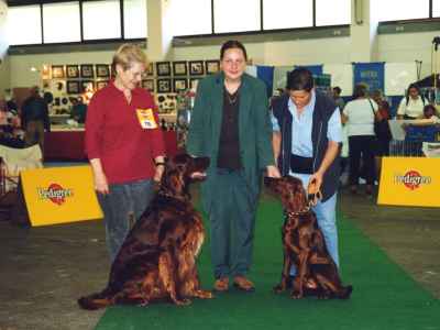 Vater und Tochter: Ch. Memory of Ireland's Red Rock und Gillary's Fairlady
