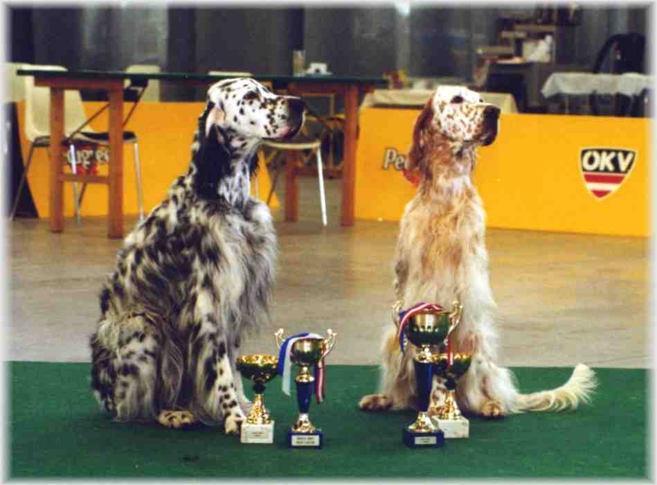 Res.CACIB- und CACIB-H&uuml;ndin, T&ouml;chter von Fred und Wonda