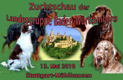CAC Stuttgart-M&uuml;hlhausen 2010