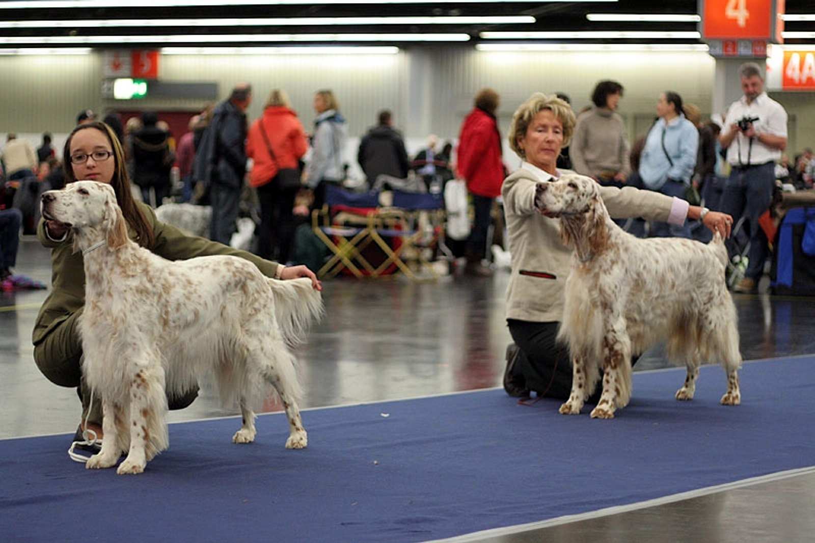 Unsere Veteranen - Annie und Sunny mit 10 bzw. 11 Jahren
