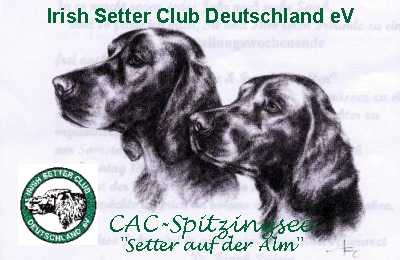 Irish Setter Club Deutschland eV