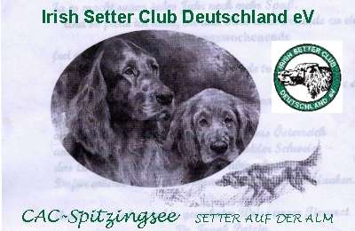 Irish Setter Club Deutschland eV