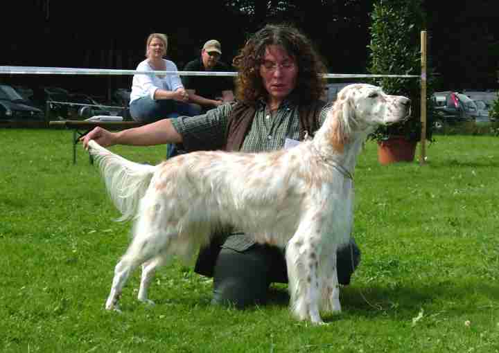 Annie 15 Wochen nach der Geburt ihrer Puppies