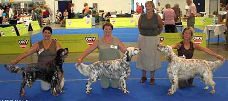 Hetty, Benoni und Sunny