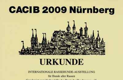 CACIB N&uuml;rnberg 2009