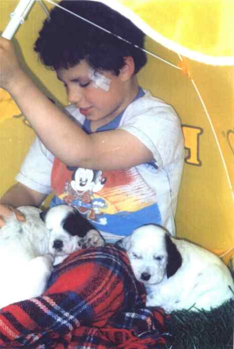 April 1995 - Thomas mit den 4 Wochen alten Welpen