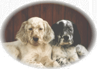 Baxter und Monty
