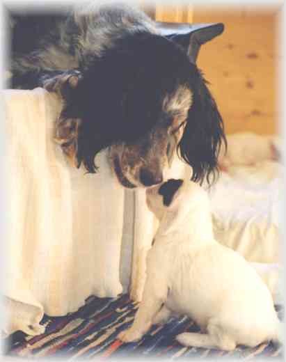 Jana und Cash