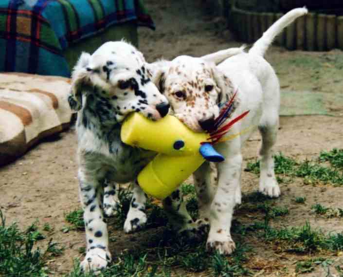 Jordan und Jared