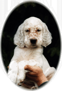 Romy