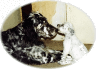 Mama Summer mit Tochter Syndi-Grace