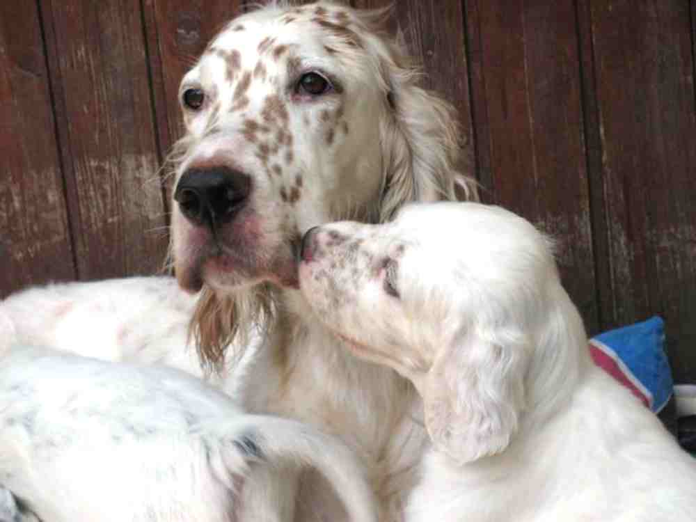 Annie und Alex