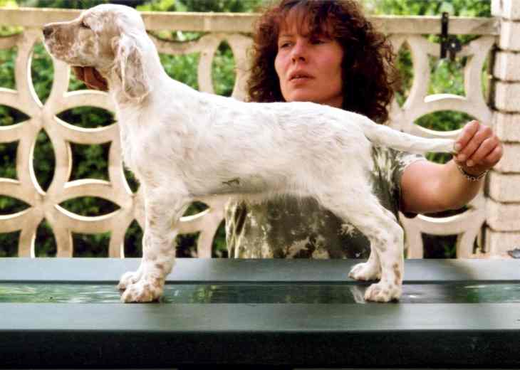 Liz mit 9 Wochen