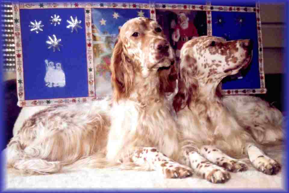 Liz und Casey