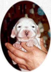 Yukon