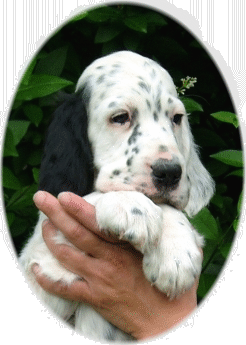 Camu